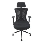 Silla ch005