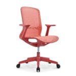 Silla Rainbow