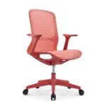 Silla Rainbow
