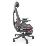 Silla Dragon - Imagen 6